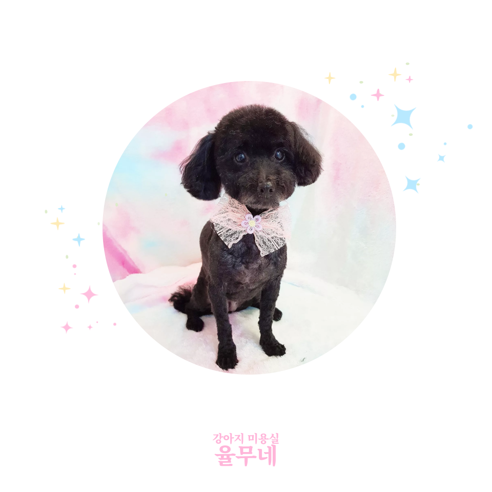 쥬비미용실 이미지
