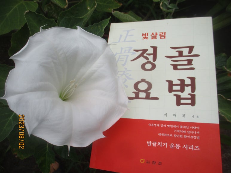 빛살림정골요법 이미지
