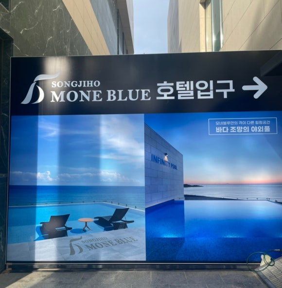송지호모네블루 이미지