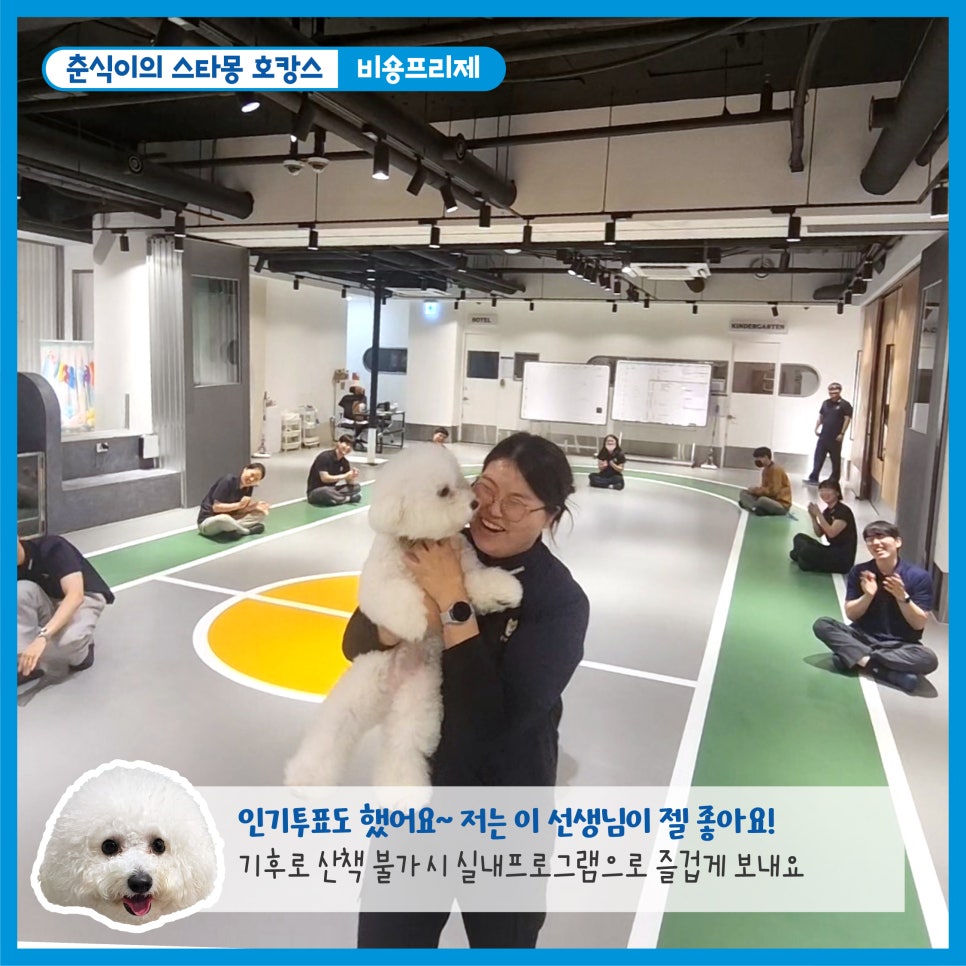 서초 스타몽 애견호텔, 강아지 호캉스 스파 & 데이케어 — 사진 4