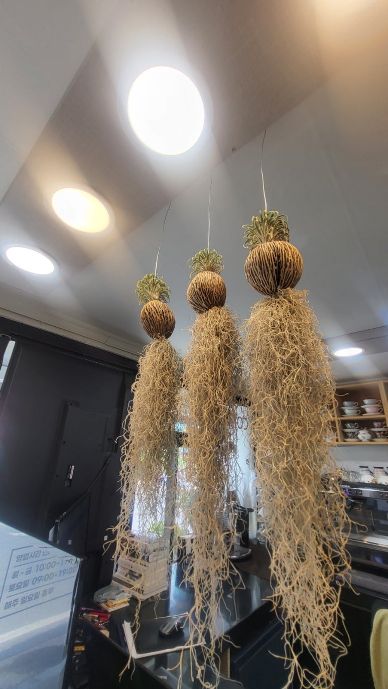 윤스커피 이미지