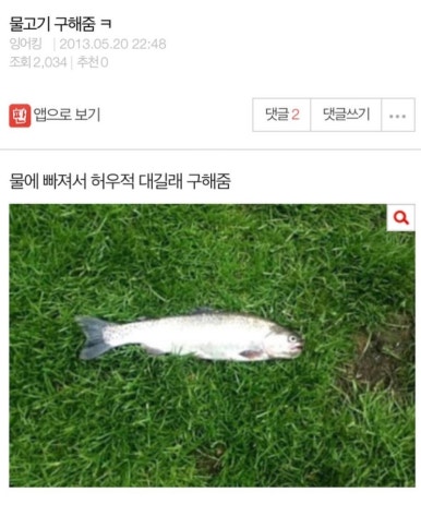 버블민트 이미지