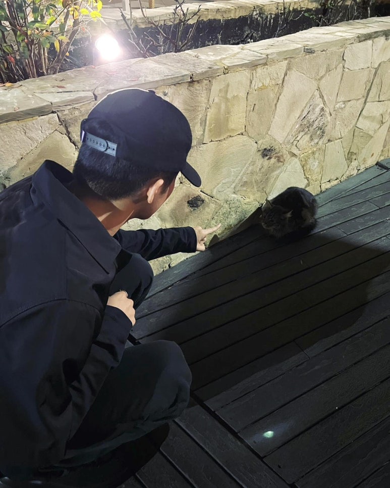 보니스 이미지