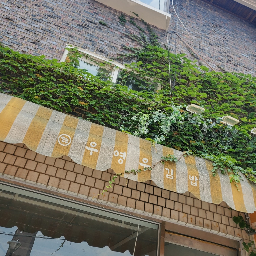 초이더플랜 이미지