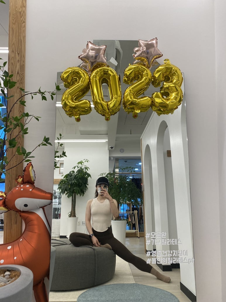 젤라정 이미지