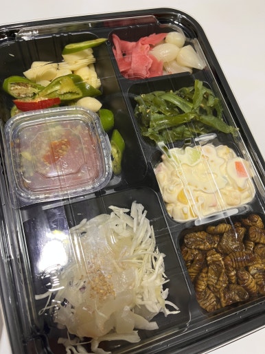 더드림 회 수산 이미지
