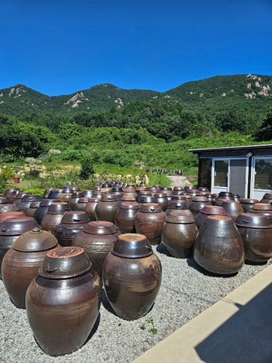 장뜰영농조합법인 이미지