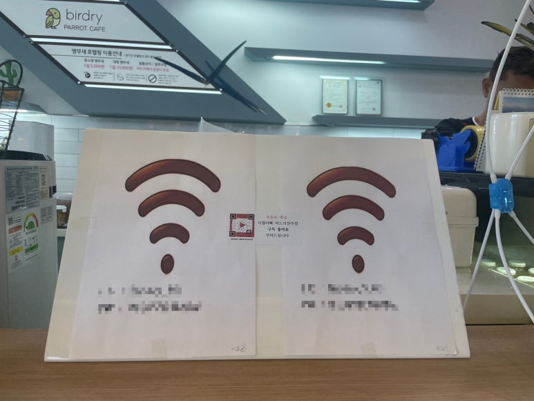 버드리전주 이미지
