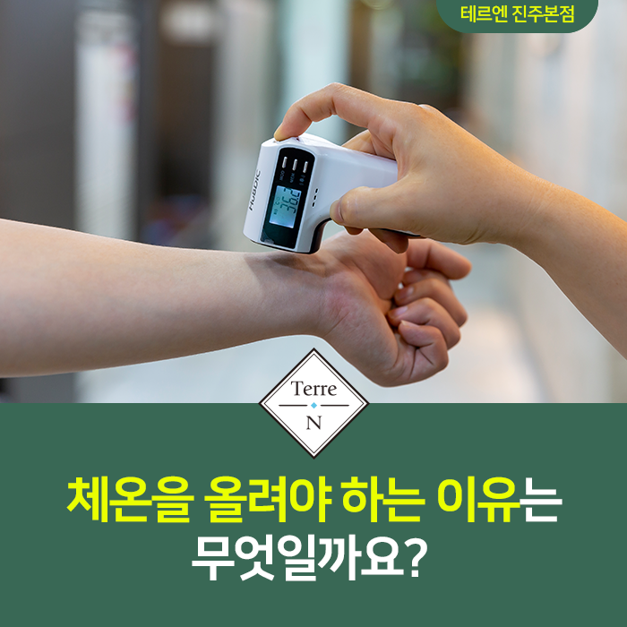 테르엔 이미지