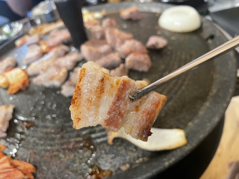 바로잘돼지 이미지