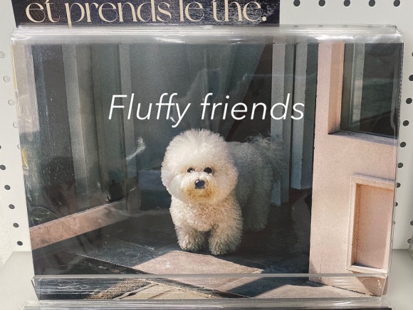 플러피 프렌즈 (fluffy friends) 이미지