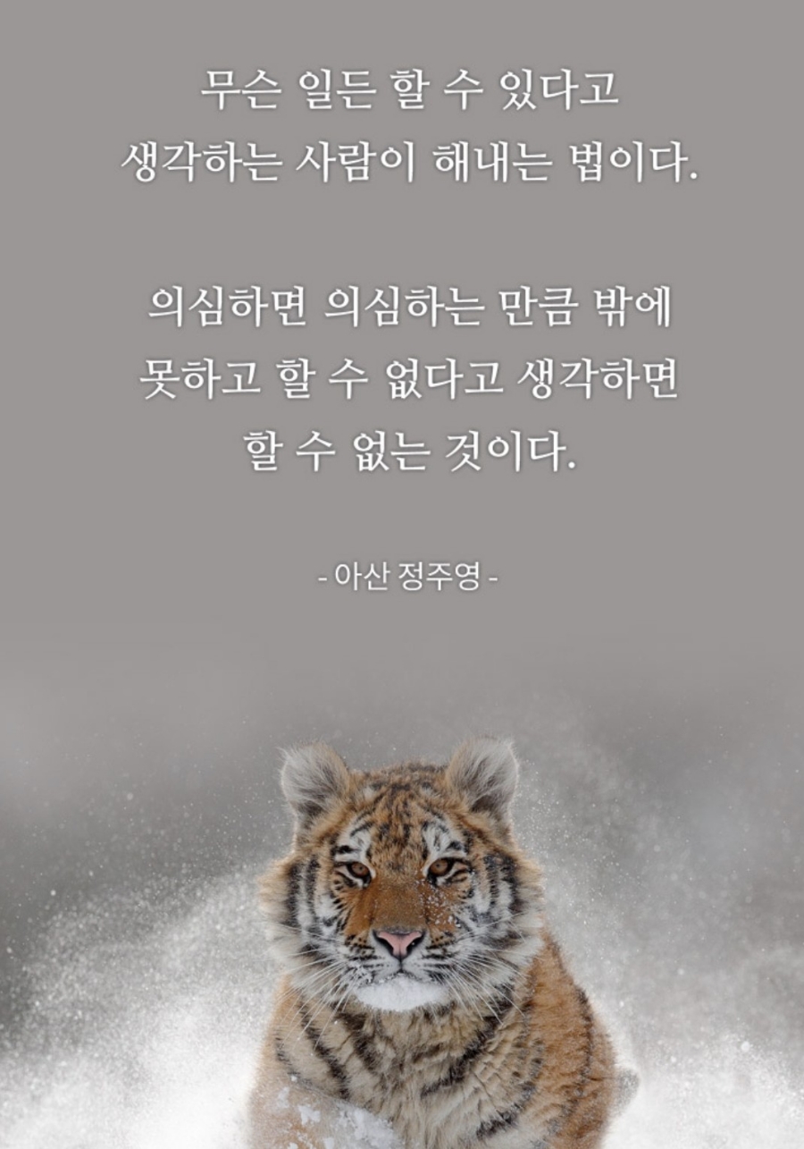 삼부쇼핑 이미지