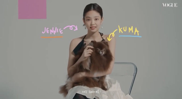 제나헤어 이미지