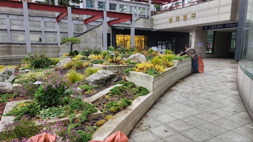 대오조경 이미지