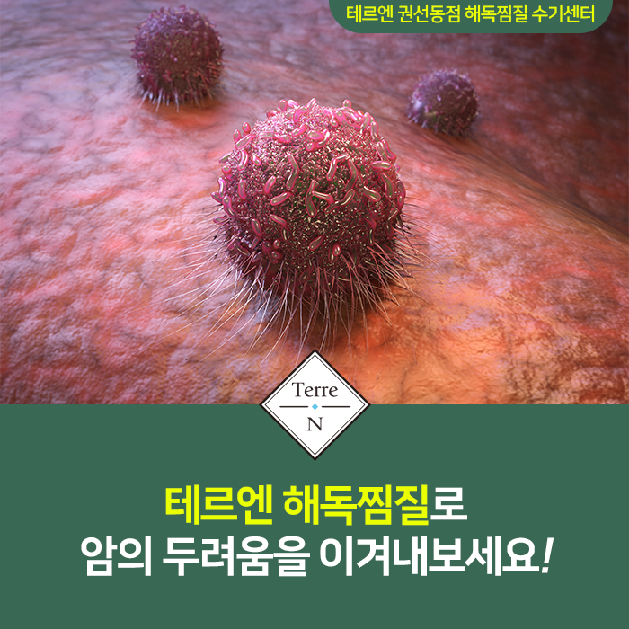 테르엔 이미지
