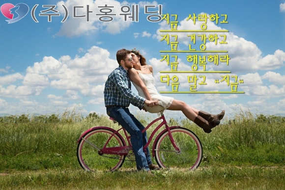 하나원결혼정보회사 이미지