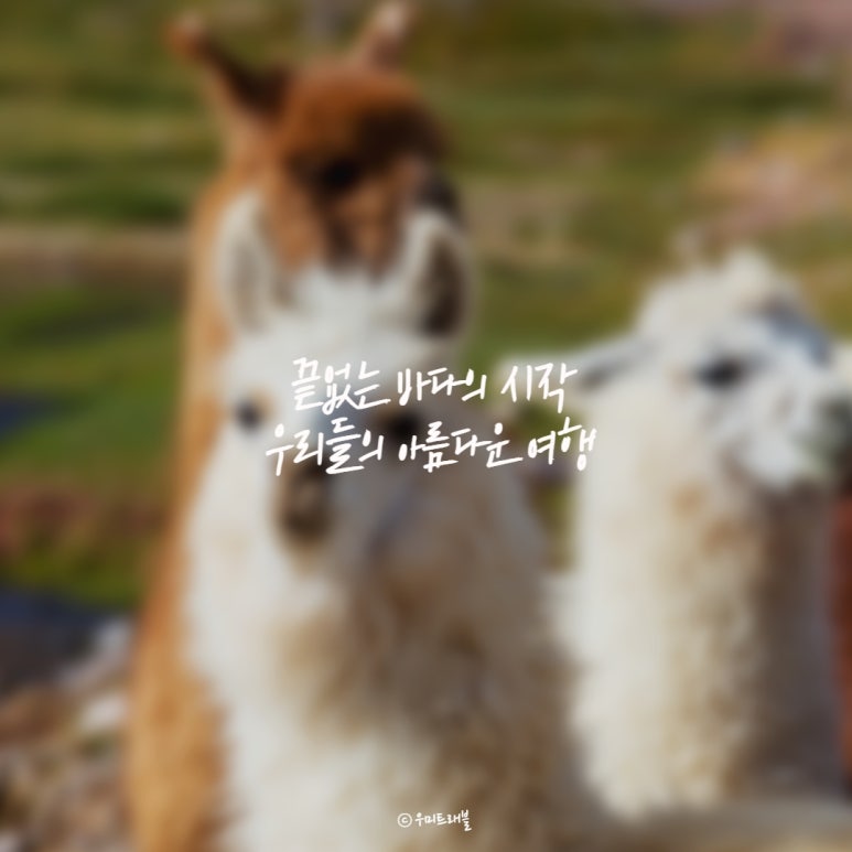 우미트래블 이미지