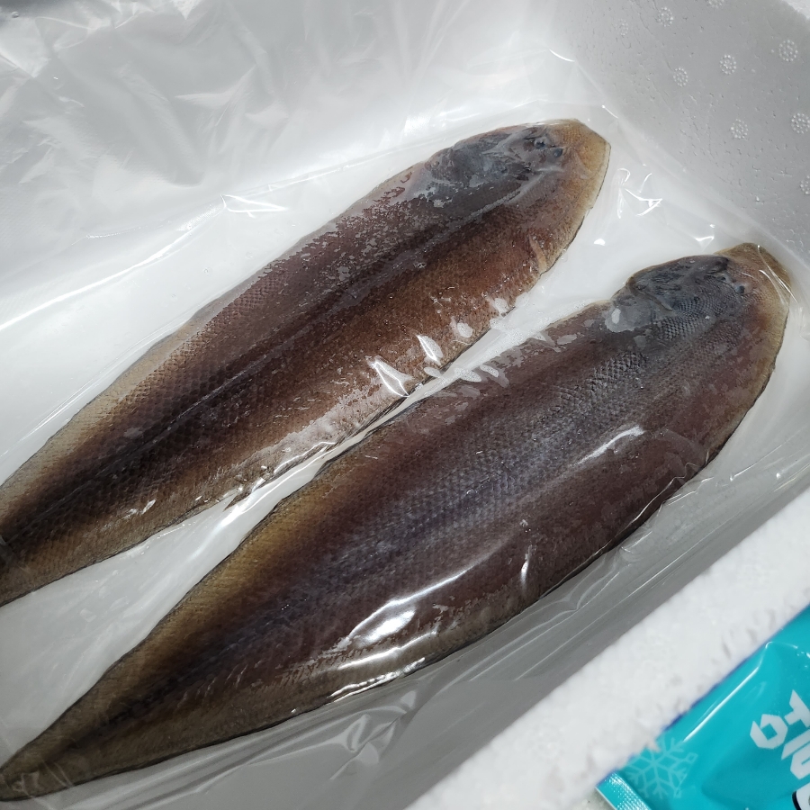 부일수산 이미지