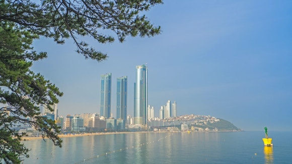 KJ행정사사무소 이미지