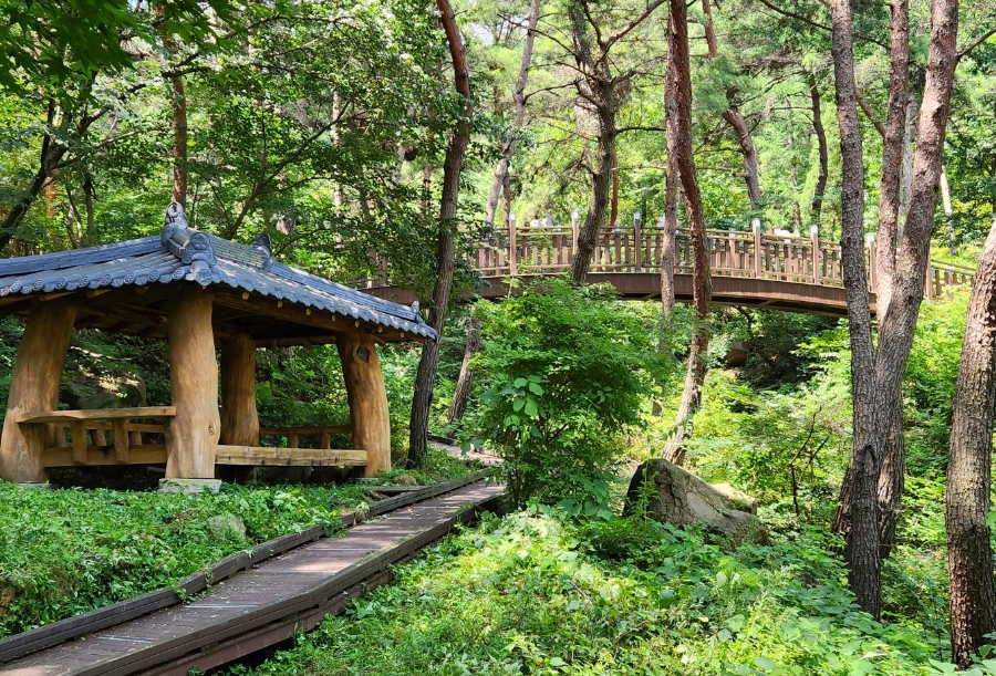 화왕산자연휴양림야영장 이미지