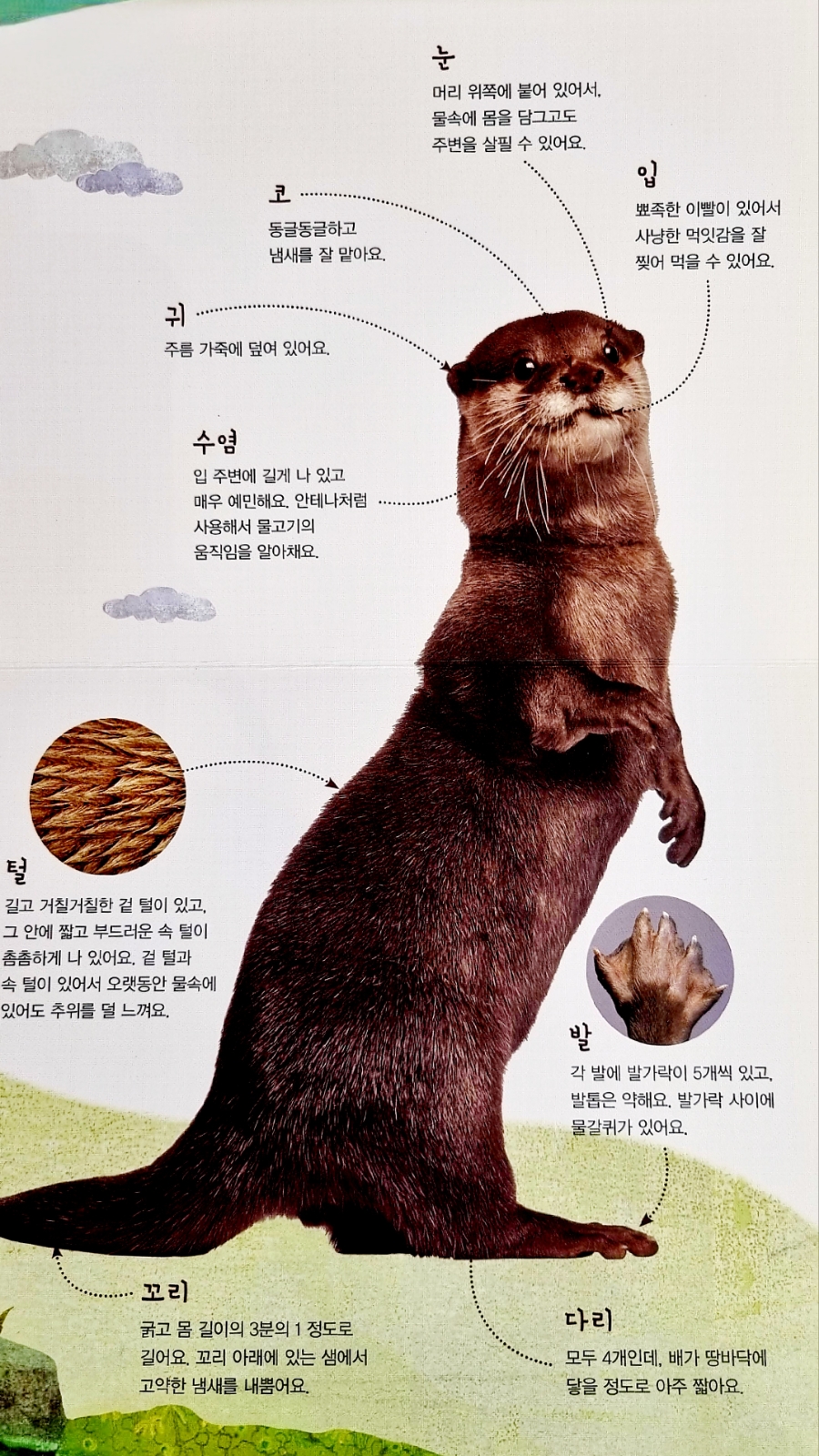 아람반점 이미지