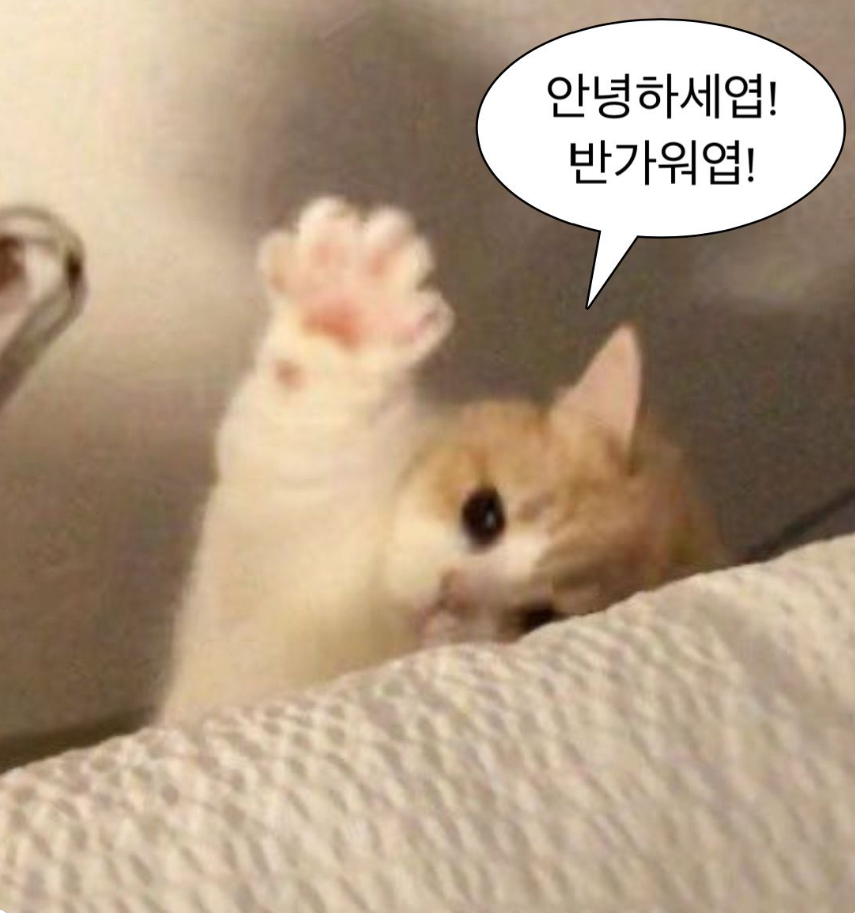 태닝아일랜드 이미지