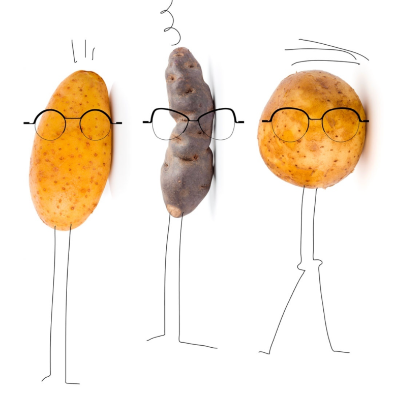 테오디자인 이미지