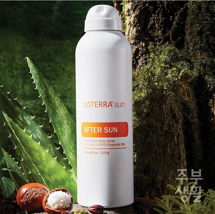 썬피부관리실 이미지