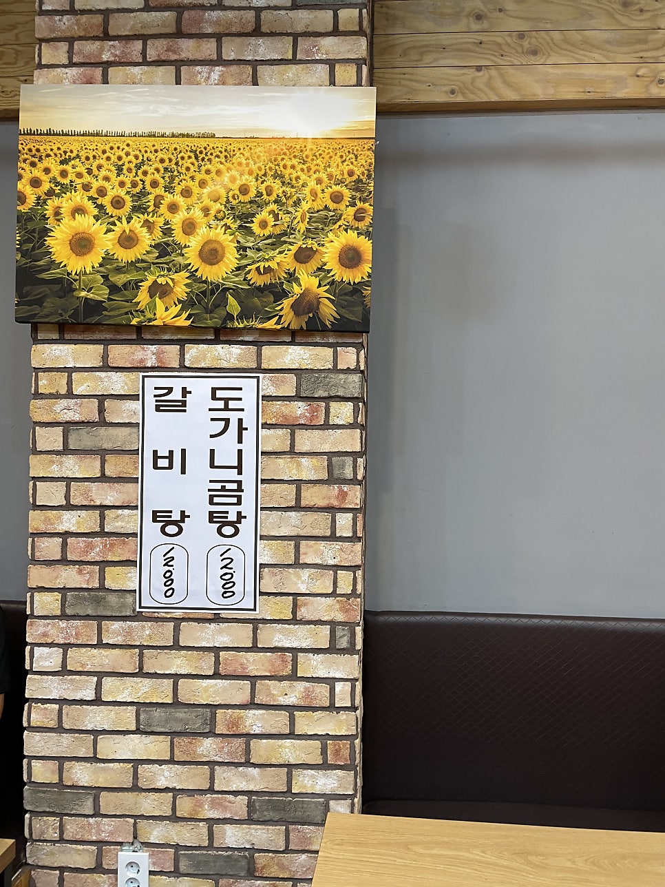그레이스돈뭉치 이미지