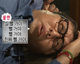 시그니쳐그린 이미지