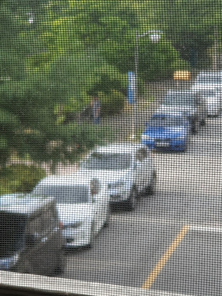일월주유소 이미지