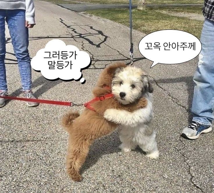 심신할인마트 이미지
