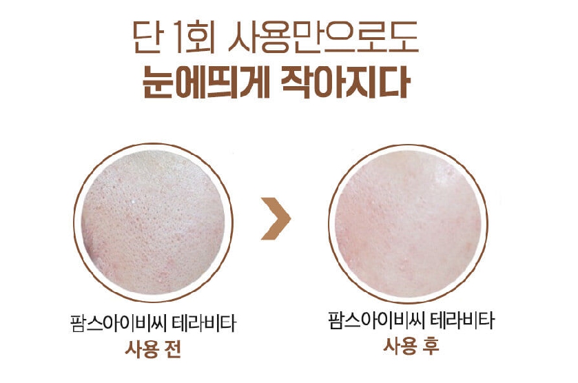 팜스테라 이미지