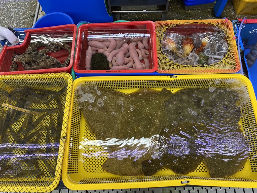 이서회타운 이미지