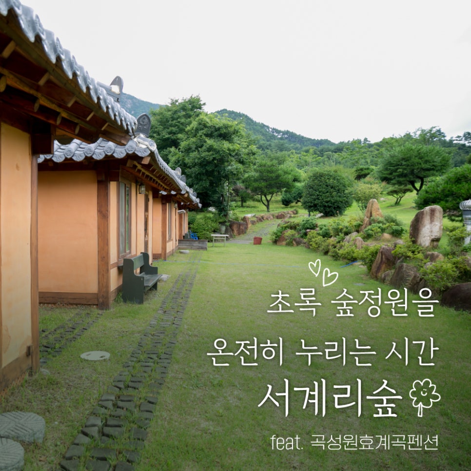 서계리숲 이미지