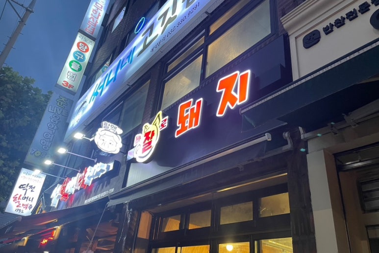 바로잘돼지 이미지