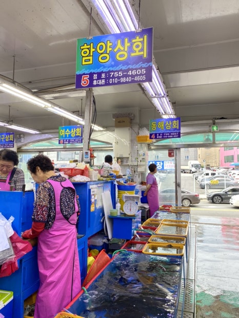 이서회타운 이미지