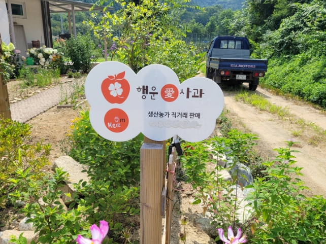 행운애 이미지
