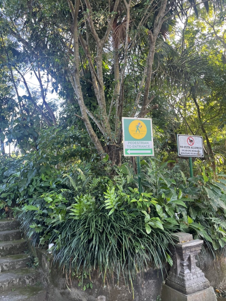 몽키마스 이미지