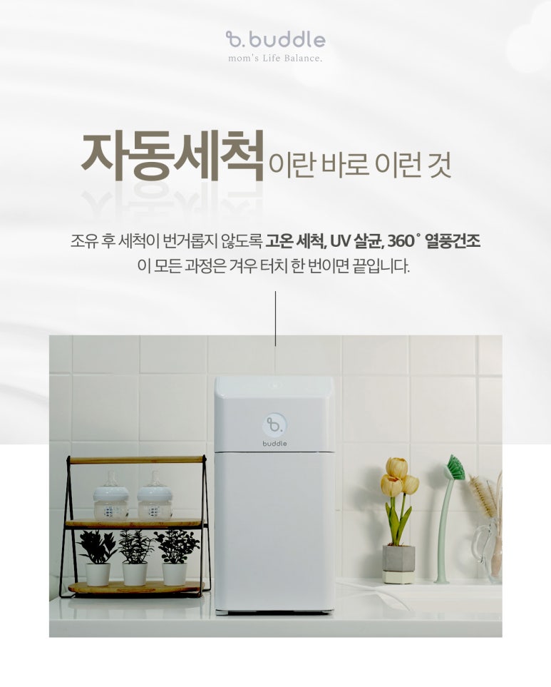 버들 BUDDLE 이미지
