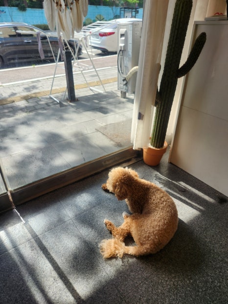 지니살롱 이미지
