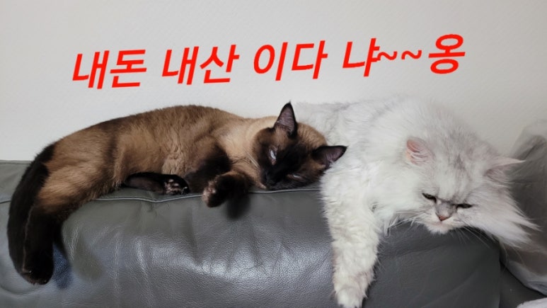 불암산수가든 이미지