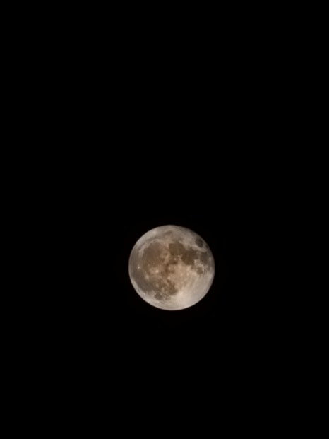일번지마트 이미지