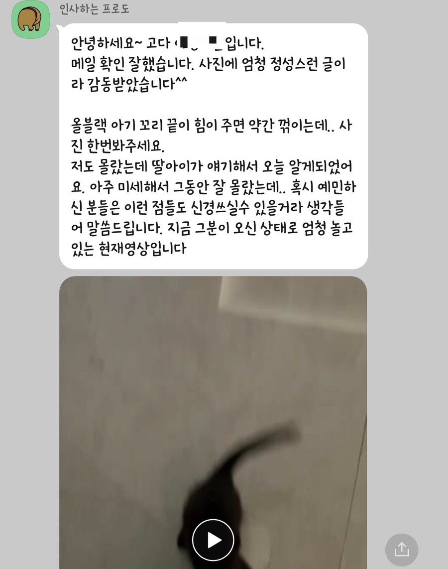 고다 이미지