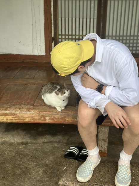 올스테이인 이미지