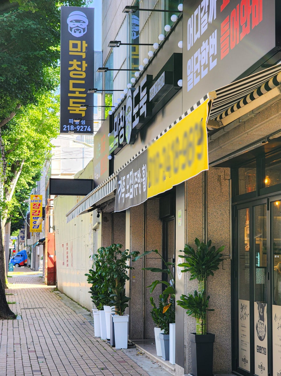 막창도둑파동점 이미지