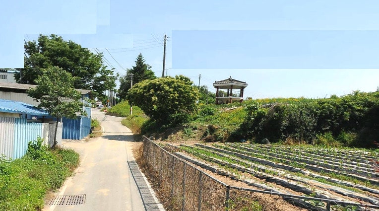 동골 사진 4