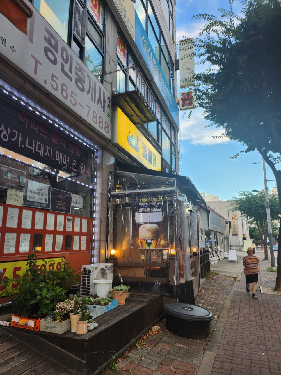 돌메닭 이미지