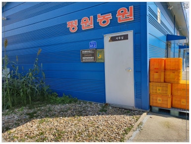 비타민농원 이미지