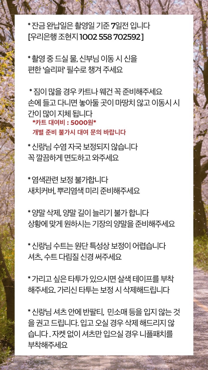 알레그라피 이미지
